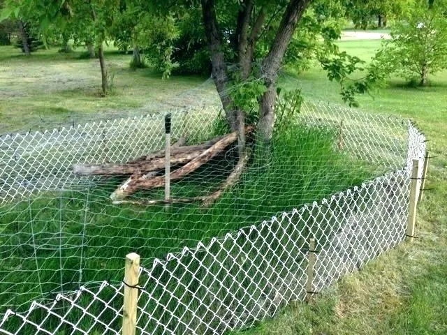 Should I Repair My Fence or Replace It?